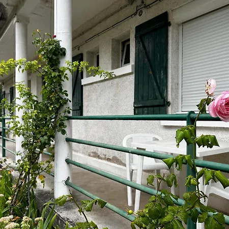 Daire Proche Thermes Avec Jardin, Laverie Et Wifi - Fr-1-541-185 *