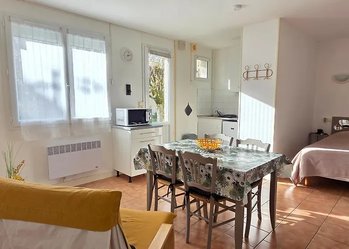 公寓 Proche Thermes Avec Jardin, Laverie Et Wifi - Fr-1-541-185 *