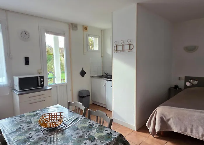 公寓 Proche Thermes Avec Jardin, Laverie Et Wifi - Fr-1-541-185 *