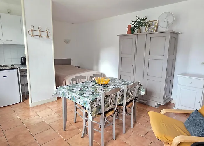 Proche Thermes Avec Jardin, Laverie Et Wifi - Fr-1-541-185 公寓