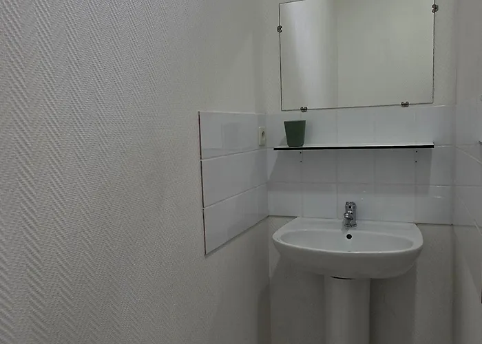 Proche Thermes Avec Jardin, Laverie Et Wifi - Fr-1-541-185 公寓 拉罗什波赛